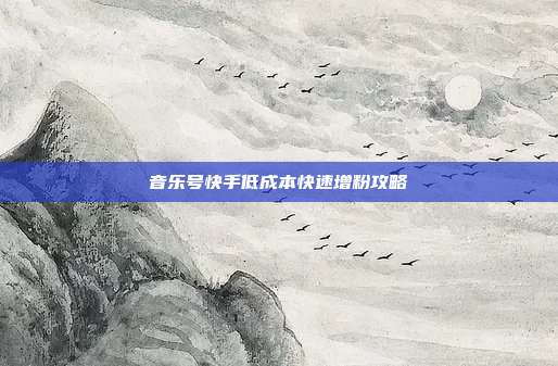 音乐号快手低成本快速增粉攻略