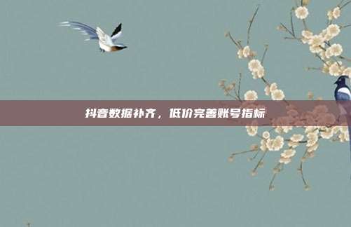 抖音数据补齐,低价完善账号指标