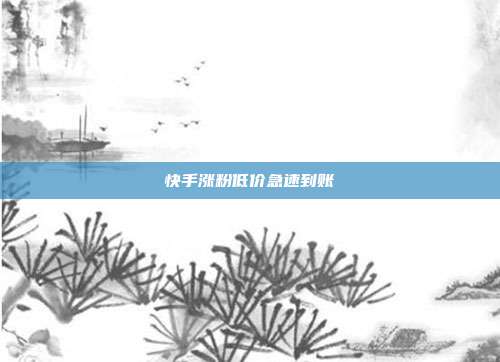 快手涨粉低价急速到账