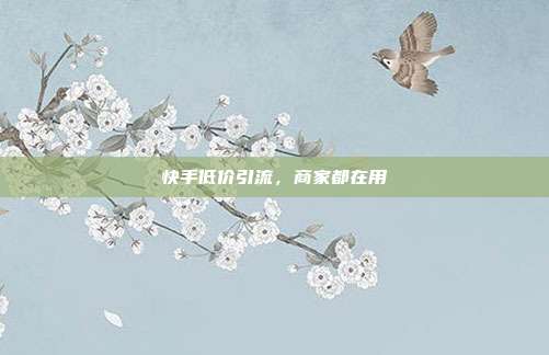 快手低价引流,商家都在用