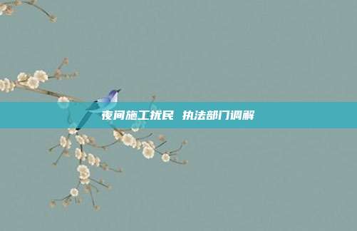 夜间施工扰民 执法部门调解