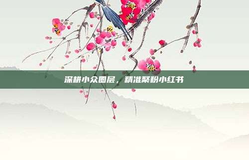 深耕小众圈层,精准聚粉小红书