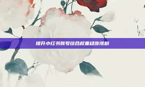 提升小红书账号综合权重稳步涨粉