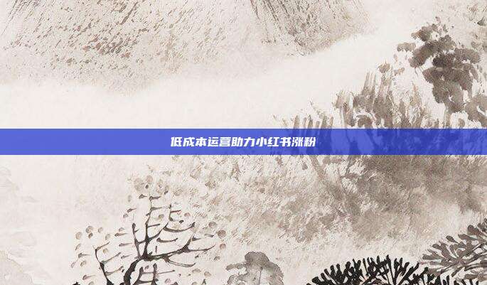 低成本运营助力小红书涨粉
