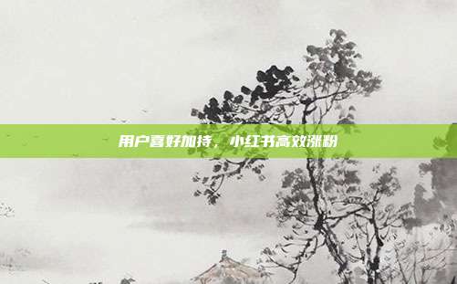 用户喜好加持,小红书高效涨粉