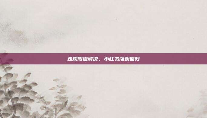 违规限流解决,小红书涨粉回归