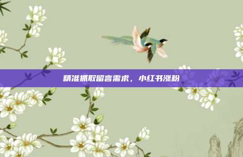 精准抓取留言需求,小红书涨粉