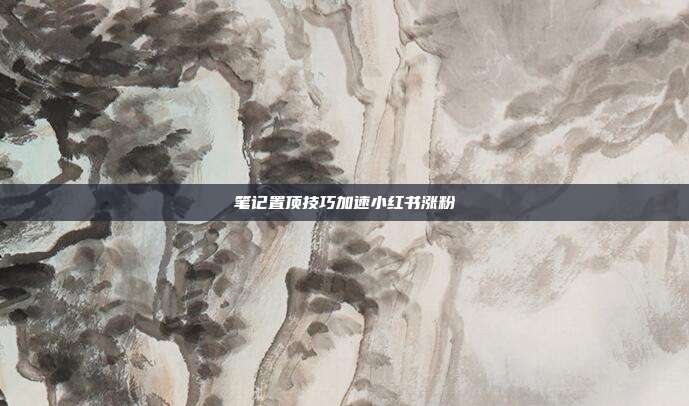 笔记置顶技巧加速小红书涨粉