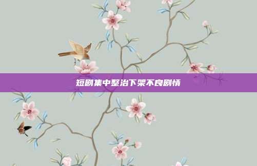 短剧集中整治下架不良剧情
