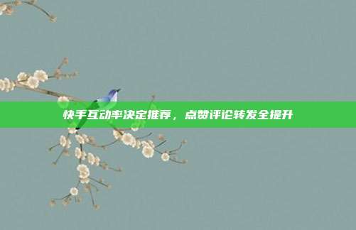 快手互动率决定推荐，点赞评论转发全提升
