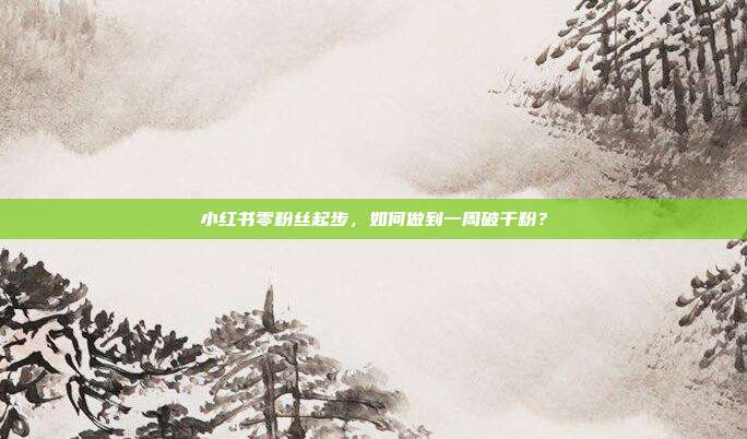 小红书零粉丝起步,如何做到一周破千粉?