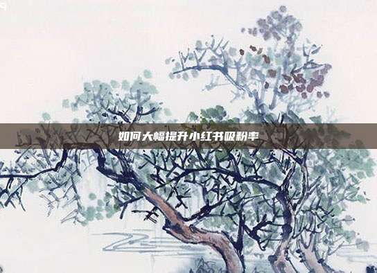 如何大幅提升小红书吸粉率