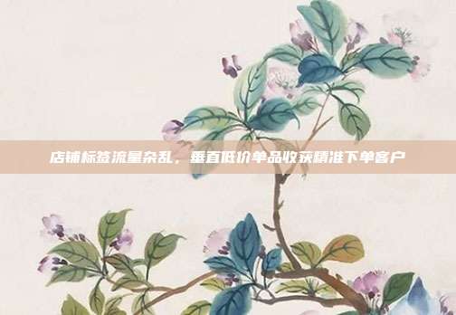 店铺标签流量杂乱,垂直低价单品收获精准下单客户
