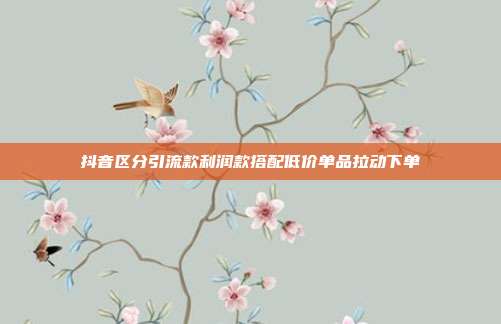 抖音区分引流款利润款搭配低价单品拉动下单