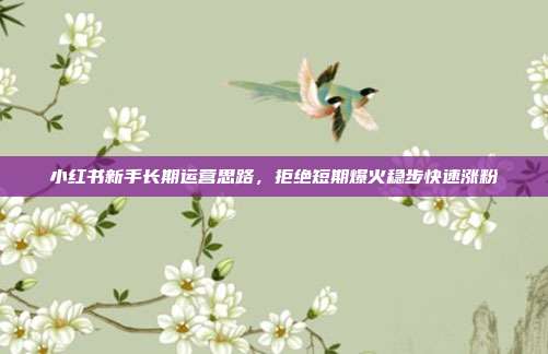 小红书新手长期运营思路,拒绝短期爆火稳步快速涨粉