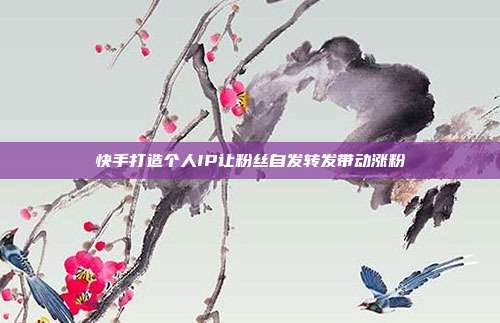快手打造个人IP让粉丝自发转发带动涨粉