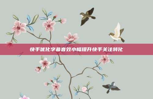 快手优化字幕音效小幅提升快手关注转化