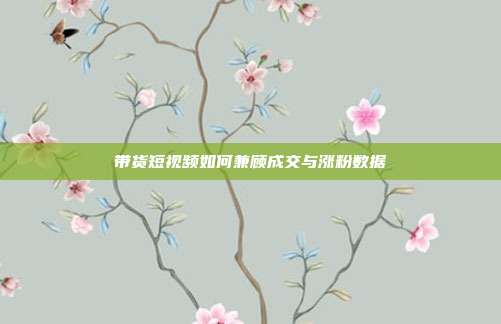带货短视频如何兼顾成交与涨粉数据