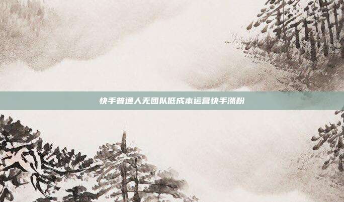 快手普通人无团队低成本运营快手涨粉