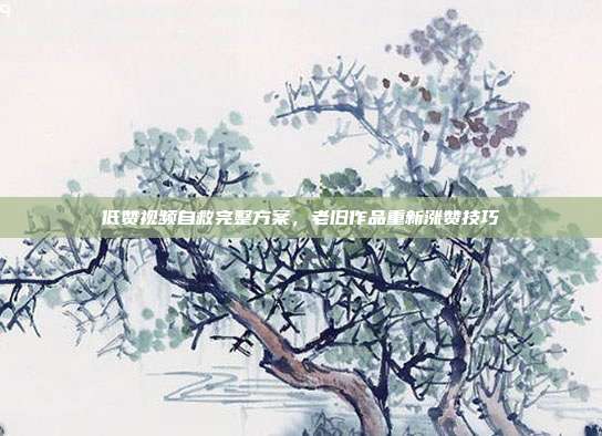 低赞视频自救完整方案,老旧作品重新涨赞技巧