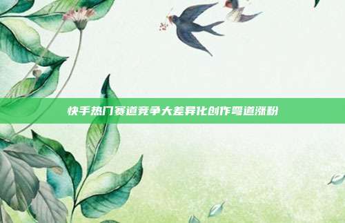 快手热门赛道竞争大差异化创作弯道涨粉