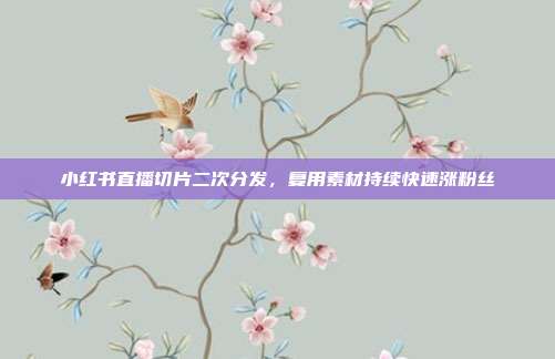 小红书直播切片二次分发，复用素材持续快速涨粉丝