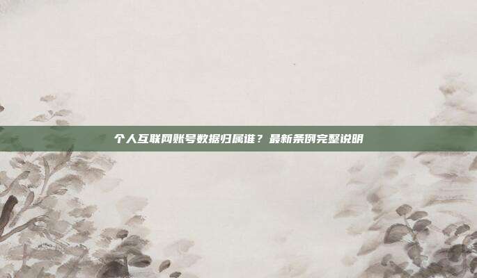 个人互联网账号数据归属谁?最新条例完整说明