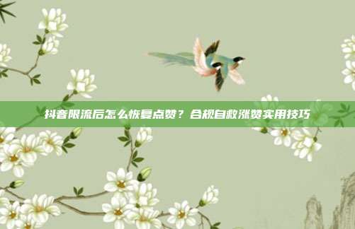 抖音限流后怎么恢复点赞?合规自救涨赞实用技巧