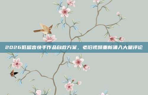 2026低留言快手作品自救方案,老旧视频重新涌入大量评论