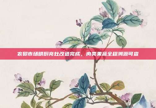 农贸市场明厨亮灶改造完成,肉类果蔬全程溯源可查