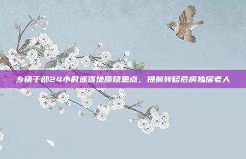 乡镇干部24小时巡查地质隐患点,提前转移危房独居老人