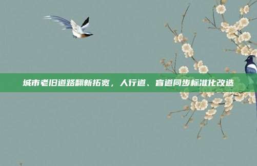 城市老旧道路翻新拓宽,人行道、盲道同步标准化改造