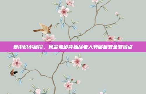 暴雨积水路段，民警徒步背独居老人转移至安全安置点