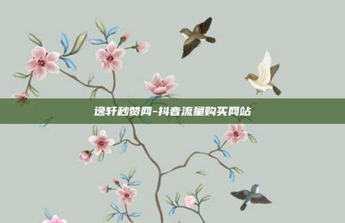 逸轩秒赞网-抖音流量购买网站