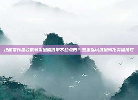视频号作品收藏转发量偏低带不动点赞？双重私域流量转化实操技巧