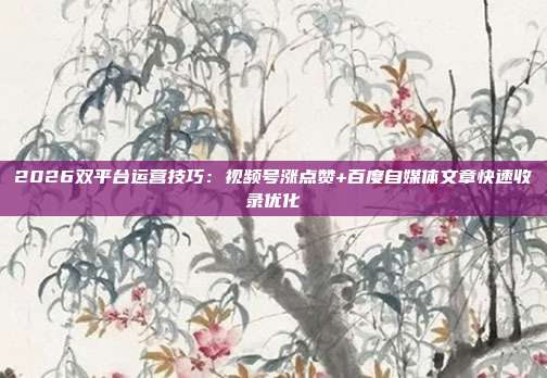 2026双平台运营技巧：视频号涨点赞+百度自媒体文章快速收录优化