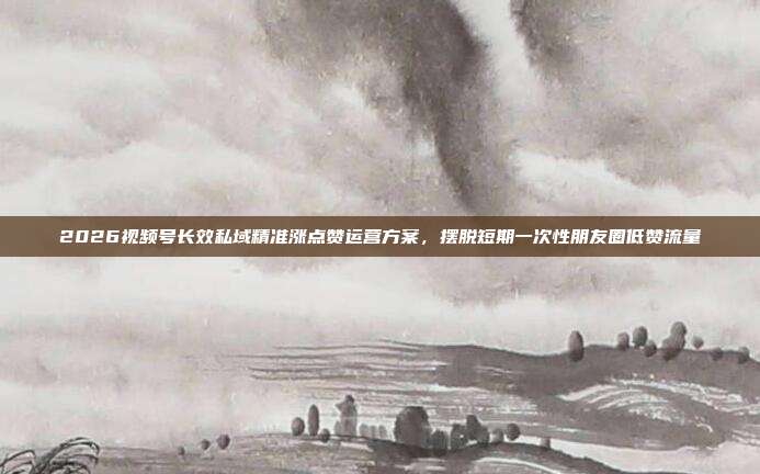 2026视频号长效私域精准涨点赞运营方案，摆脱短期一次性朋友圈低赞流量
