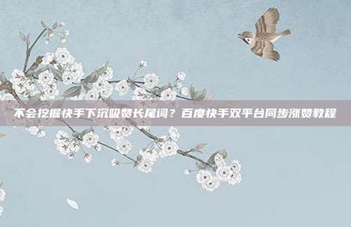 不会挖掘快手下沉吸赞长尾词？百度快手双平台同步涨赞教程