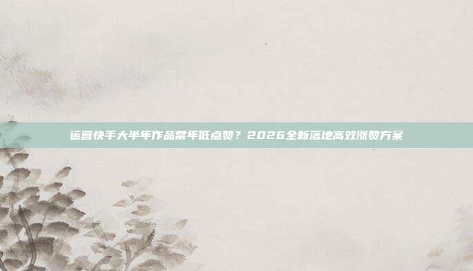 运营快手大半年作品常年低点赞？2026全新落地高效涨赞方案