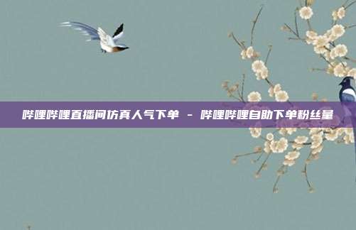 哔哩哔哩直播间仿真人气下单 - 哔哩哔哩自助下单粉丝量