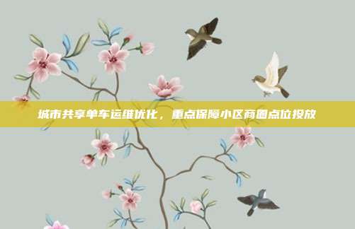 城市共享单车运维优化，重点保障小区商圈点位投放