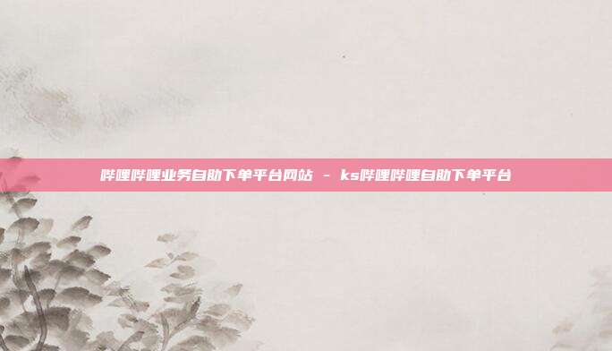 哔哩哔哩业务自助下单平台网站 - ks哔哩哔哩自助下单平台