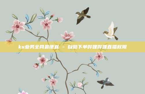 ks业务全网最便宜 - 自助下单哔哩哔哩直播权限