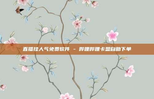 直播挂人气免费软件 - 哔哩哔哩卡盟自助下单