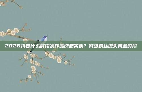 2026抖音什么时段发作品涨忠实粉?减少粉丝流失黄金时段