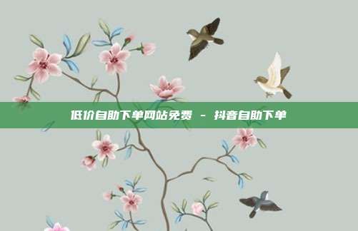 低价自助下单网站免费 - 抖音自助下单