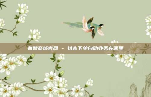 有赞商城官网 - 抖音下单自助业务在哪里