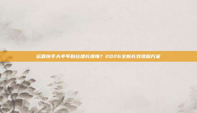 运营快手大半年粉丝增长缓慢?2026全新长效涨粉方案