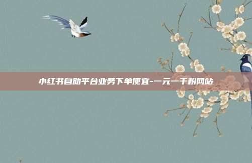 小红书自助平台业务下单便宜-一元一千粉网站