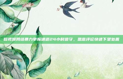 短视频网络暴力举报通道24小时值守,恶意评论快速下架处置